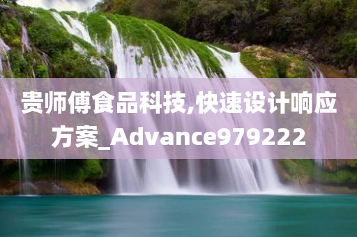 贵师傅食品科技,快速设计响应方案_Advance979222