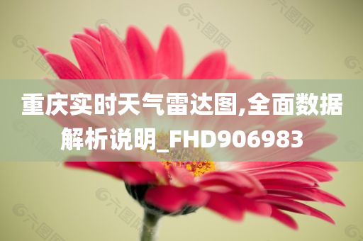 重庆实时天气雷达图,全面数据解析说明_FHD906983