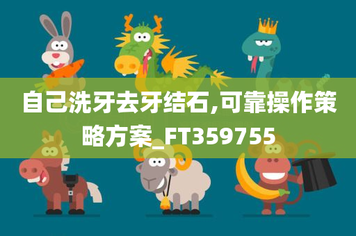 自己洗牙去牙结石,可靠操作策略方案_FT359755