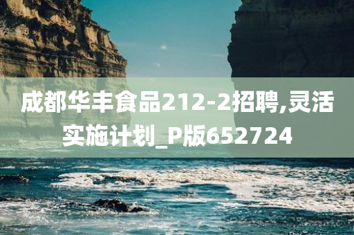 成都华丰食品212-2招聘,灵活实施计划_P版652724