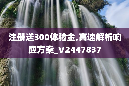 注册送300体验金,高速解析响应方案_V2447837