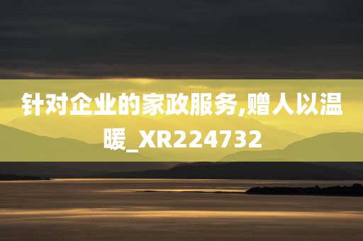 针对企业的家政服务,赠人以温暖_XR224732