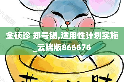 金硕珍 郑号锡,适用性计划实施_云端版866676