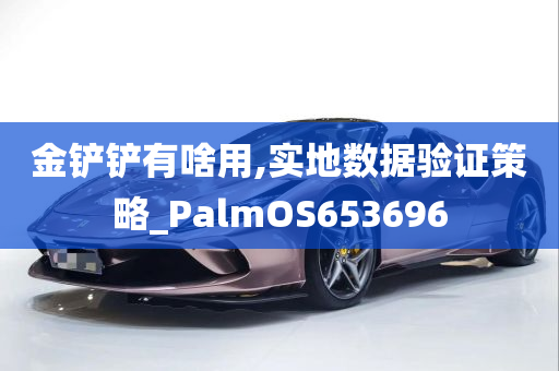 金铲铲有啥用,实地数据验证策略_PalmOS653696