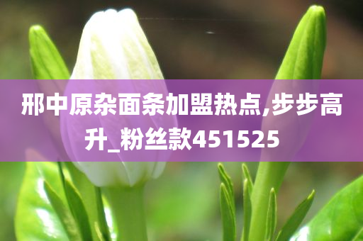 邢中原杂面条加盟热点,步步高升_粉丝款451525