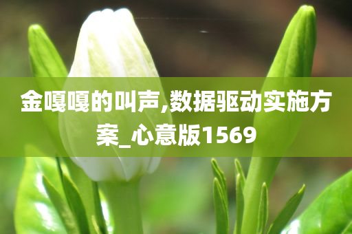 金嘎嘎的叫声,数据驱动实施方案_心意版1569