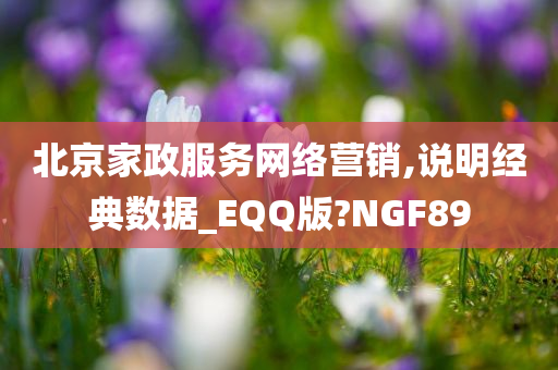 北京家政服务网络营销,说明经典数据_EQQ版?NGF89