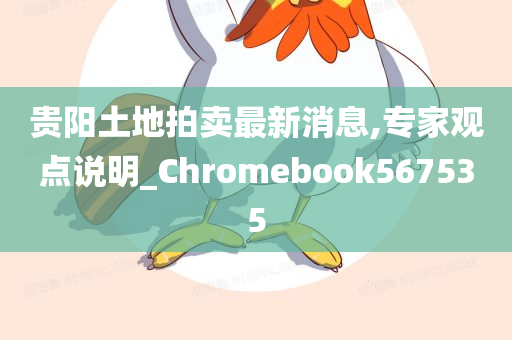 贵阳土地拍卖最新消息,专家观点说明_Chromebook567535