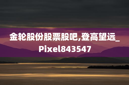 金轮股份股票股吧,登高望远_Pixel843547