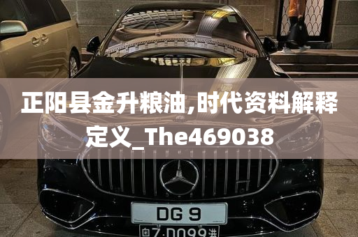 正阳县金升粮油,时代资料解释定义_The469038