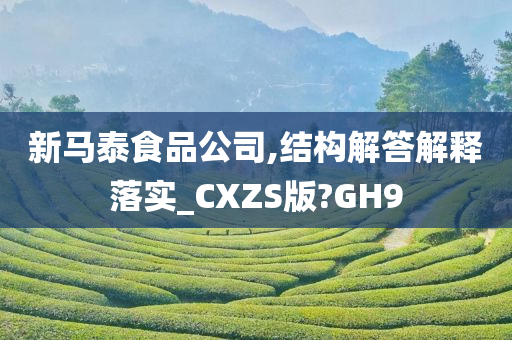 新马泰食品公司,结构解答解释落实_CXZS版?GH9