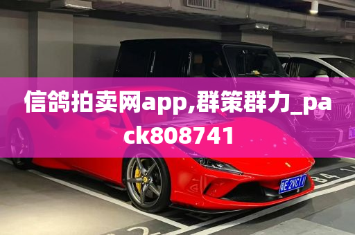 信鸽拍卖网app,群策群力_pack808741