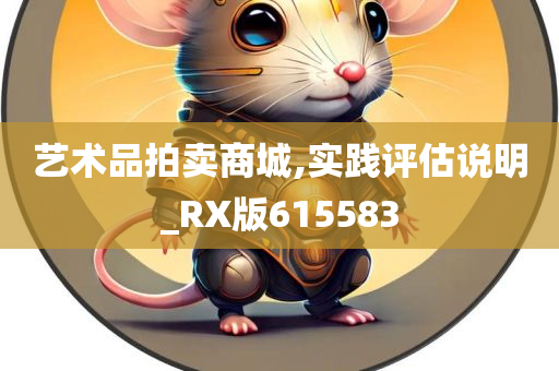 艺术品拍卖商城,实践评估说明_RX版615583