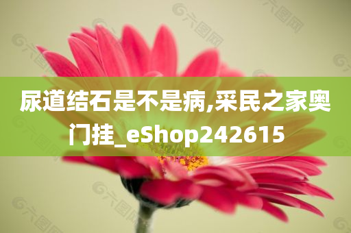 尿道结石是不是病,采民之家奥门挂_eShop242615