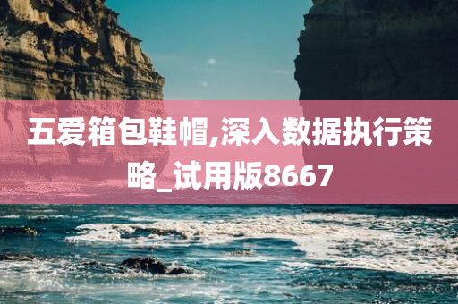 五爱箱包鞋帽,深入数据执行策略_试用版8667