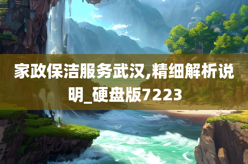 家政保洁服务武汉,精细解析说明_硬盘版7223