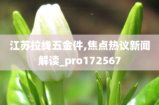 江苏拉线五金件,焦点热议新闻解读_pro172567