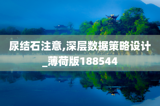 尿结石注意,深层数据策略设计_薄荷版188544