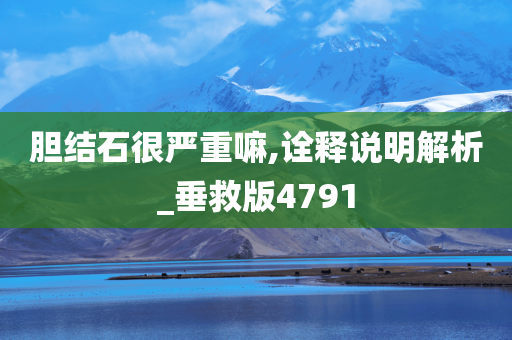 胆结石很严重嘛,诠释说明解析_垂救版4791