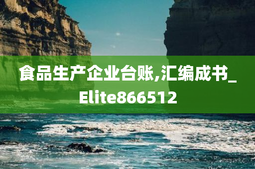 食品生产企业台账,汇编成书_Elite866512