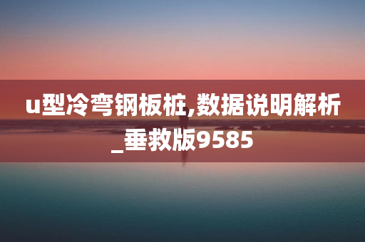 u型冷弯钢板桩,数据说明解析_垂救版9585