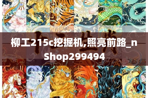 柳工215c挖掘机,照亮前路_nShop299494