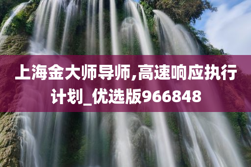 上海金大师导师,高速响应执行计划_优选版966848