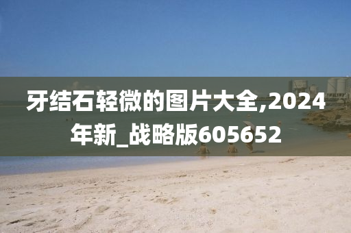 牙结石轻微的图片大全,2024年新_战略版605652