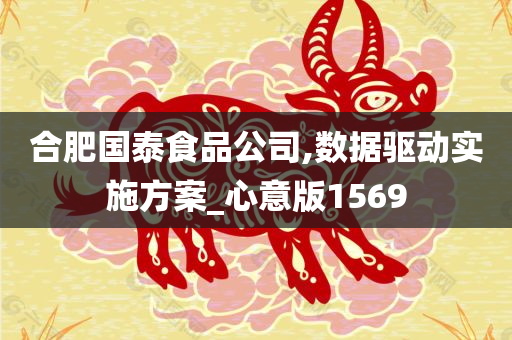 合肥国泰食品公司,数据驱动实施方案_心意版1569