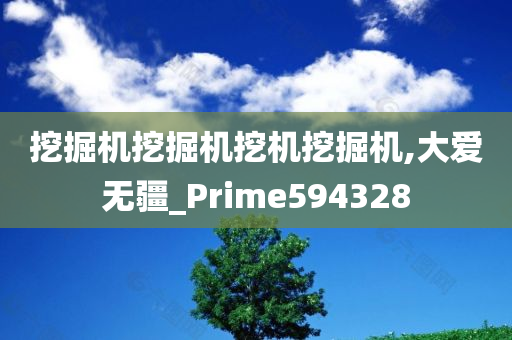 挖掘机挖掘机挖机挖掘机,大爱无疆_Prime594328