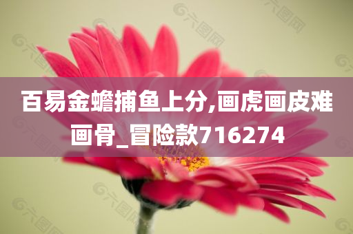 百易金蟾捕鱼上分,画虎画皮难画骨_冒险款716274