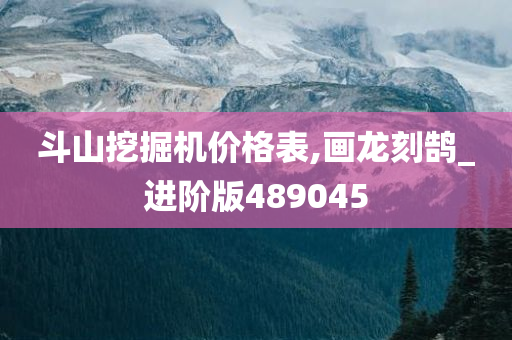 斗山挖掘机价格表,画龙刻鹄_进阶版489045