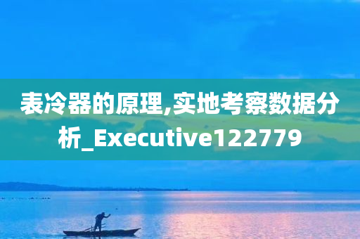 表冷器的原理,实地考察数据分析_Executive122779