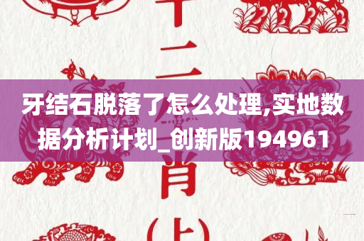 牙结石脱落了怎么处理,实地数据分析计划_创新版194961