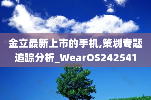 金立最新上市的手机,策划专题追踪分析_WearOS242541