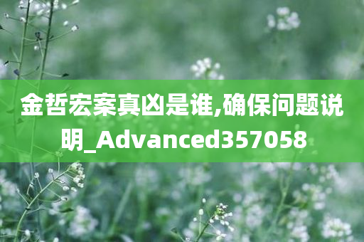 金哲宏案真凶是谁,确保问题说明_Advanced357058