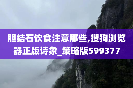 胆结石饮食注意那些,搜狗浏览器正版诗象_策略版599377