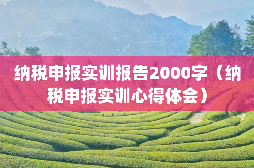 纳税申报实训报告2000字（纳税申报实训心得体会）