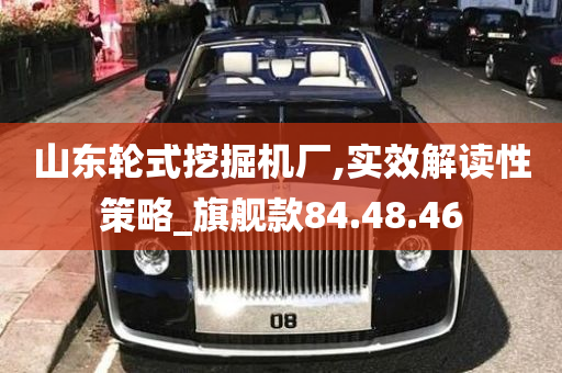 山东轮式挖掘机厂,实效解读性策略_旗舰款84.48.46