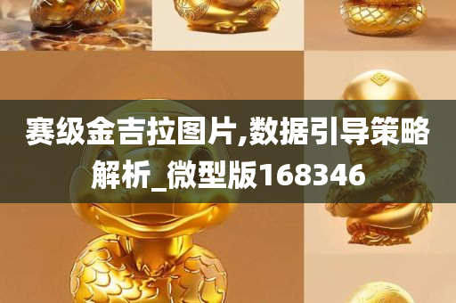 赛级金吉拉图片,数据引导策略解析_微型版168346