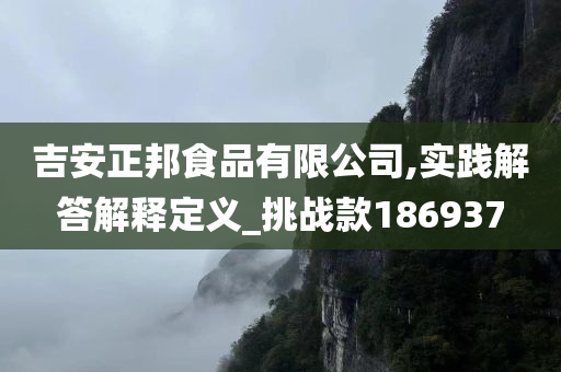 吉安正邦食品有限公司,实践解答解释定义_挑战款186937