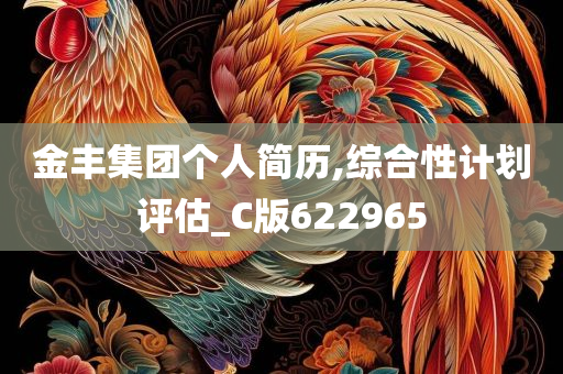 金丰集团个人简历,综合性计划评估_C版622965