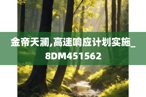 金帝天澜,高速响应计划实施_8DM451562