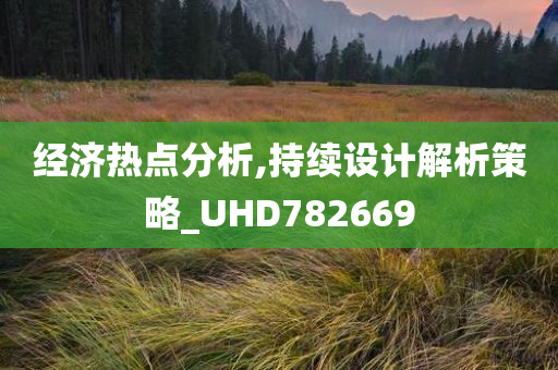 经济热点分析,持续设计解析策略_UHD782669