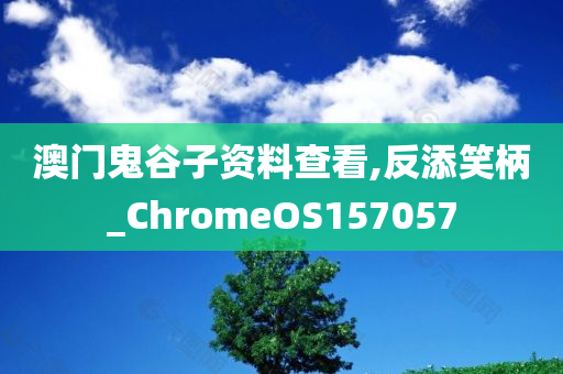 澳门鬼谷子资料查看,反添笑柄_ChromeOS157057