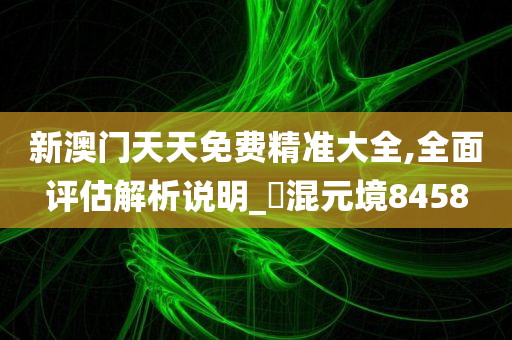 新澳门天天免费精准大全,全面评估解析说明_‌混元境8458