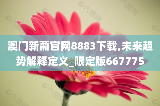 澳门新葡官网8883下载,未来趋势解释定义_限定版667775