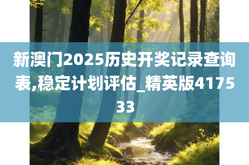 新澳门2025历史开奖记录查询表,稳定计划评估_精英版417533