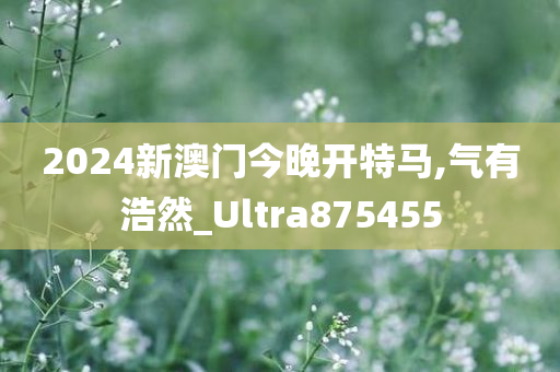 2024新澳门今晚开特马,气有浩然_Ultra875455