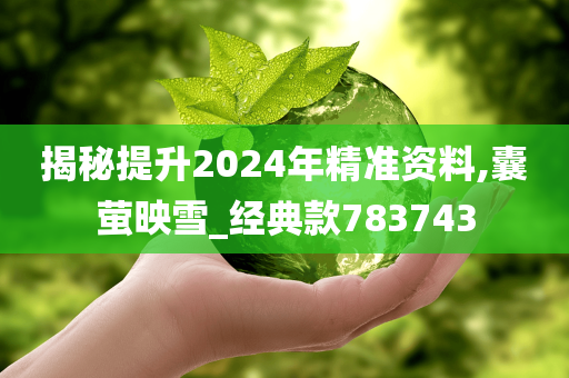 揭秘提升2024年精准资料,囊萤映雪_经典款783743